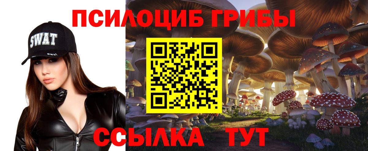 Дмитров  Галлюциногенные грибы прущие грибы  наркошоп  Вход с VPN 